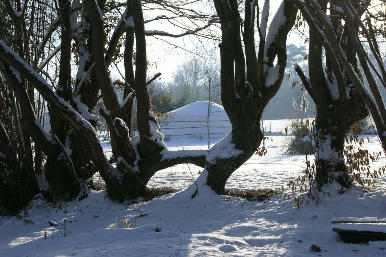 Le Refuge Du Clos Du Moulin Брионн Экстерьер фото